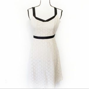 Loft cream lace dress size 2P